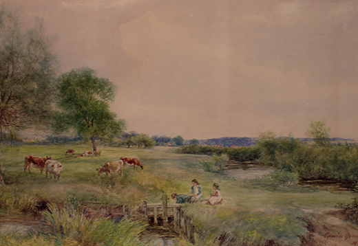 Southhampton Road Meadows by Young, Edwin