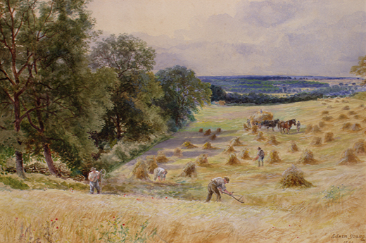 Wheat Harvest top of Alderbury Hill by Young, Edwin
