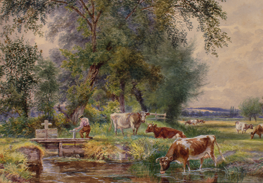 Central Meadows, Harnham by Young, Edwin