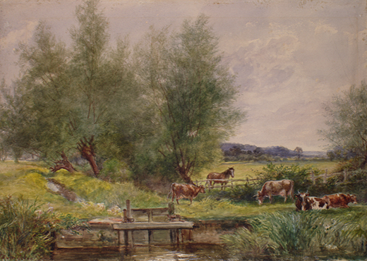 Cows with sluice gate by Young, Edwin