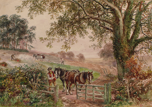Field work after harvest by Young, Edwin